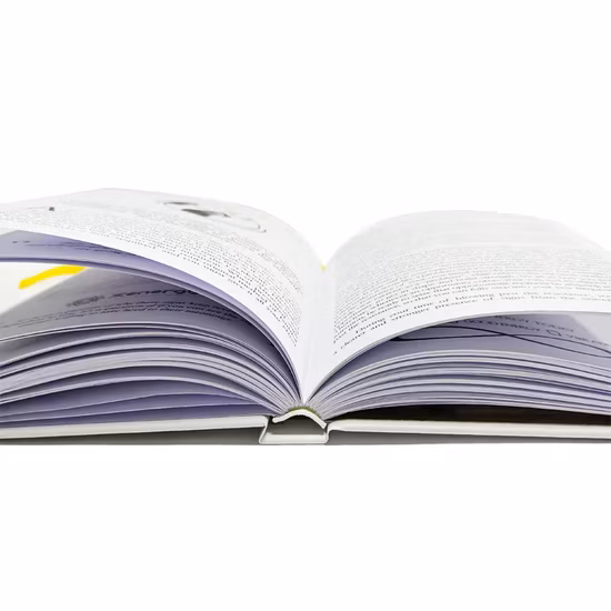 Planificador blanco de lujo del organizador de la agenda del diario del tapa dura del diario Zen Ergy Me de impresión personalizada